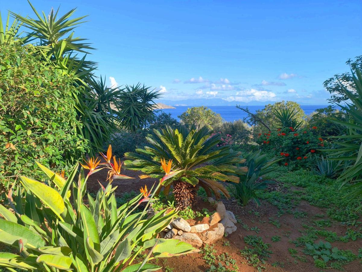 Tilos Villa Livadia  Eksteriør bilde